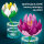 LEGO BOTANICALS 11511 Lilie lodne - 1529719 - zdjęcie 5